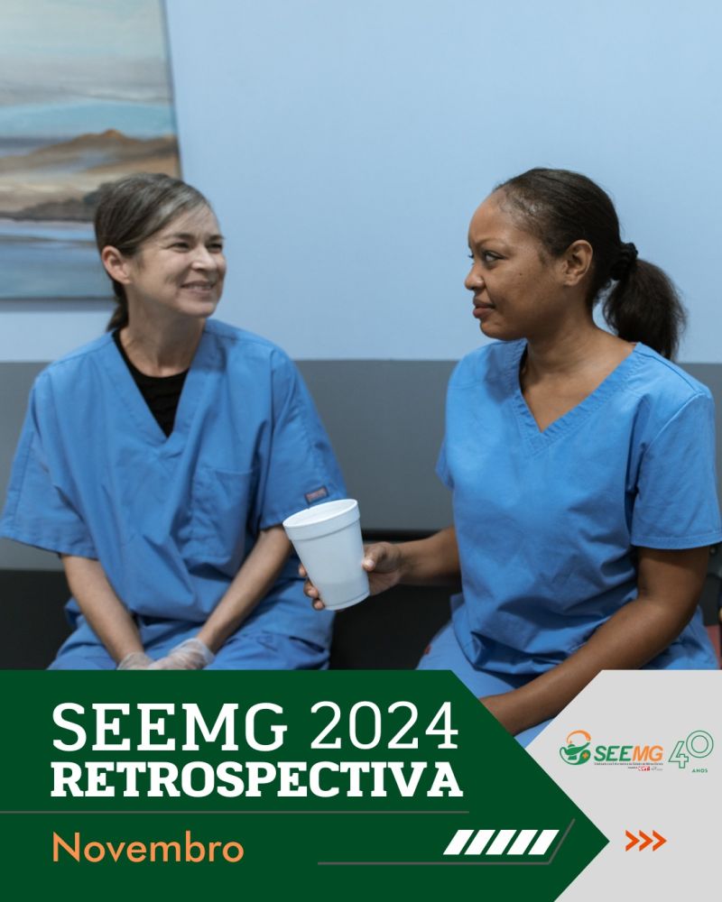 Retrospectiva novembro 2024 SEEMG